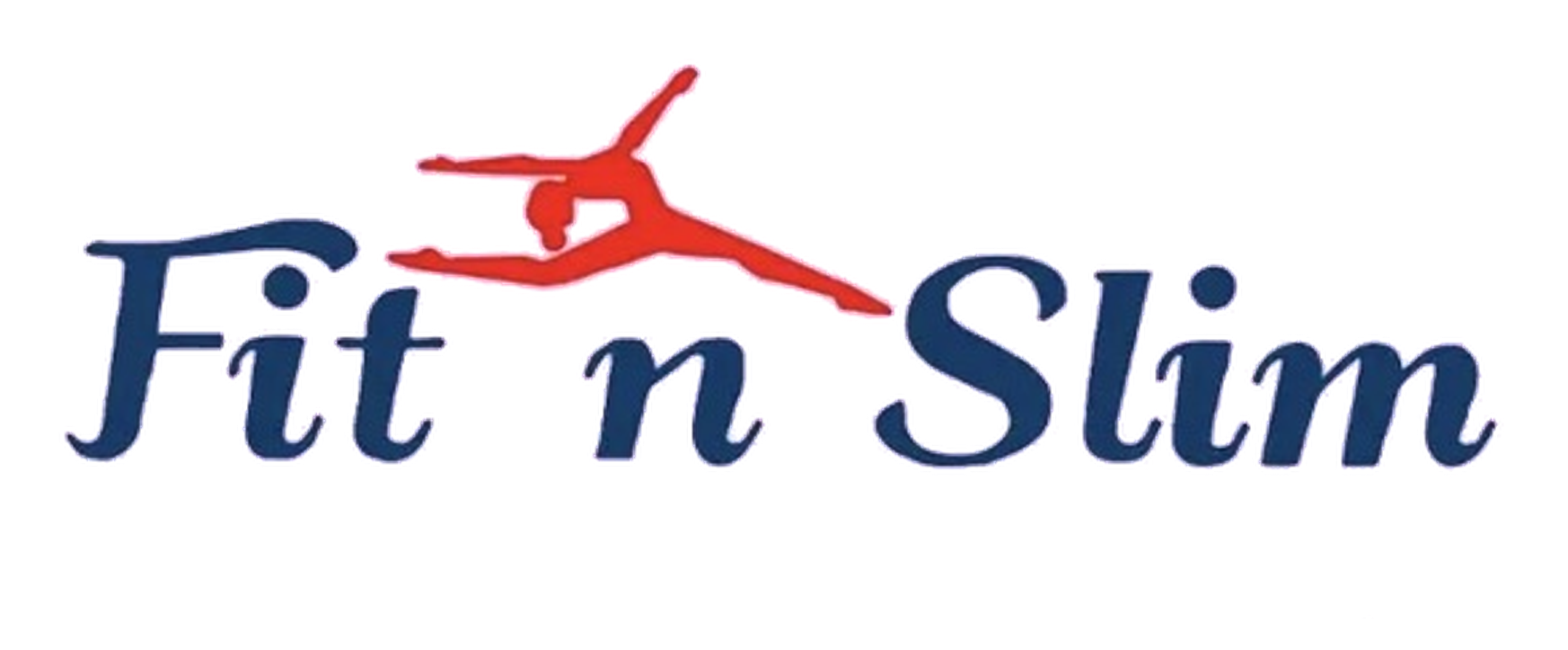 Fit N Slim logo
